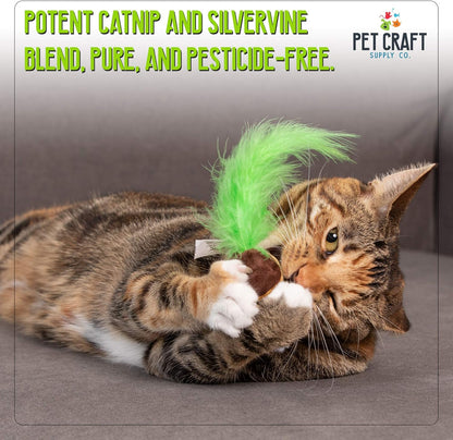 Silly Snacks and Funny Food Crinkle Cuddling Catnip and Silvervine Interactive Cat Toys - Great for Indoor Cats, Kittens or Medium Breeds